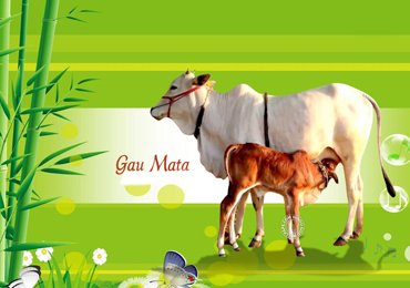 Shri Radhakripa Aashrya Sewa Trust